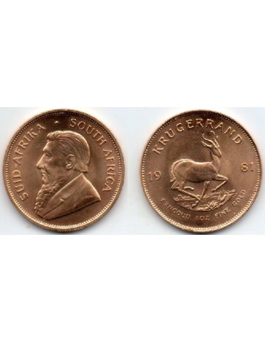 1981 Sud-Africa Krugerrand  - Moneda ORO